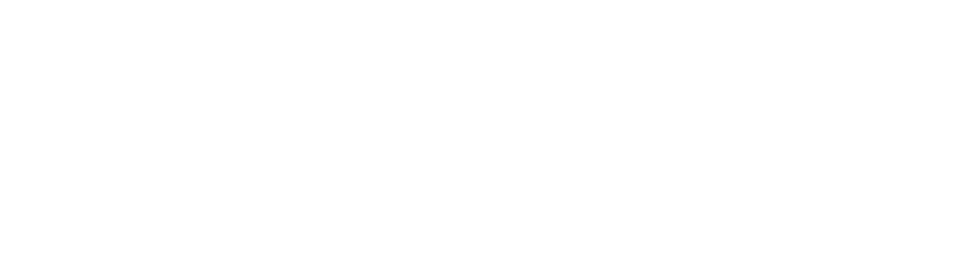 Drish Infotech