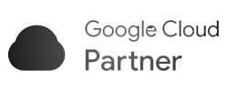 Google cloud partner
