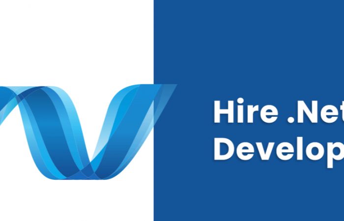 hire .net developer